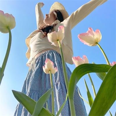 趣塔德庄园 海报