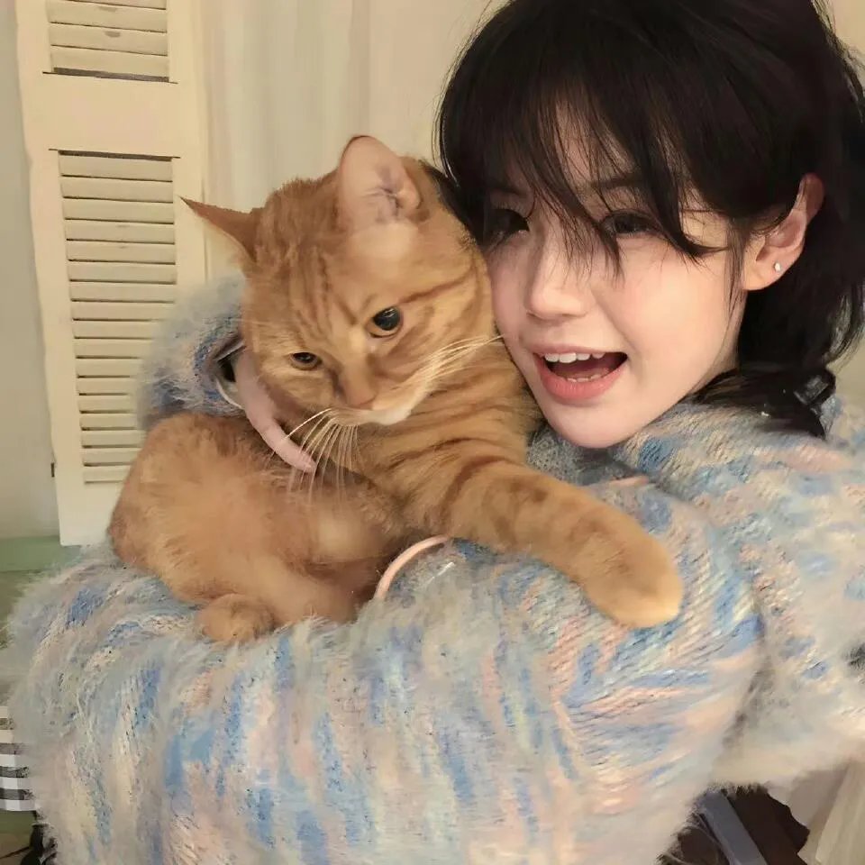猛虎末路 海报