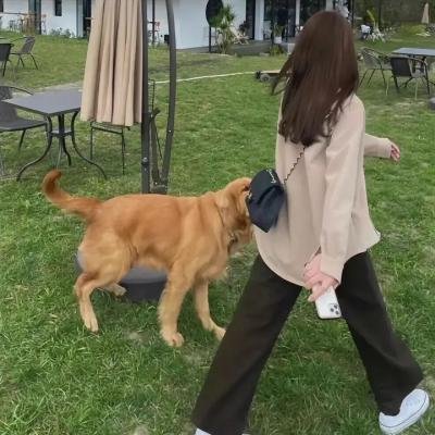 与王生活的男人 海报